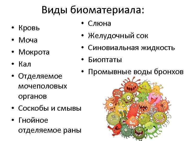 Виды биоматериала: • • • Кровь Моча Мокрота Кал Отделяемое мочеполовых органов • Соскобы