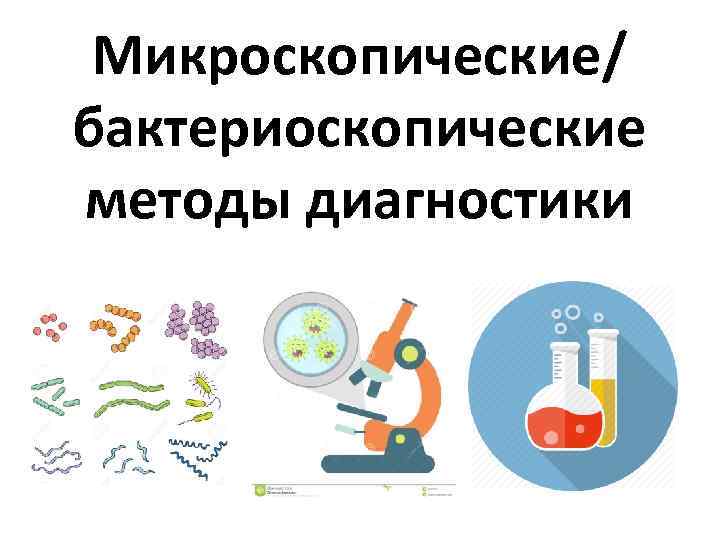 Руководство по вирусологическим исследованиям на полиомиелит воз 1998