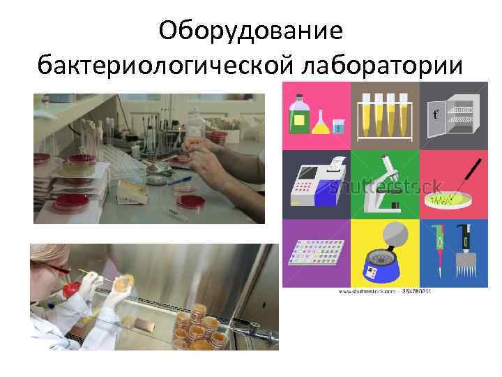 План бактериологической лаборатории