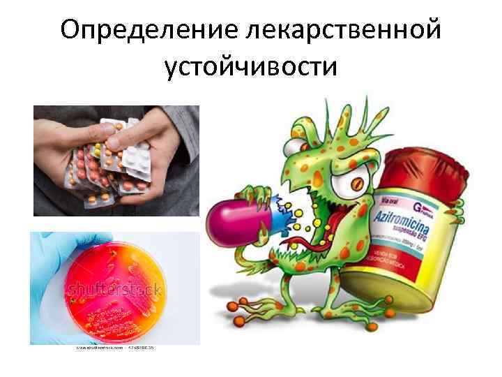 Определение лекарственной устойчивости 