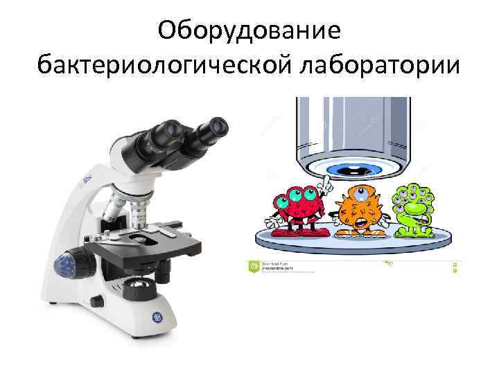 Оборудование бактериологической лаборатории 
