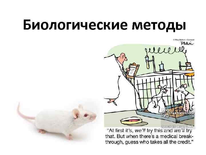 Биологические методы 