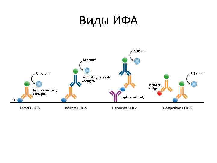 Виды ИФА 