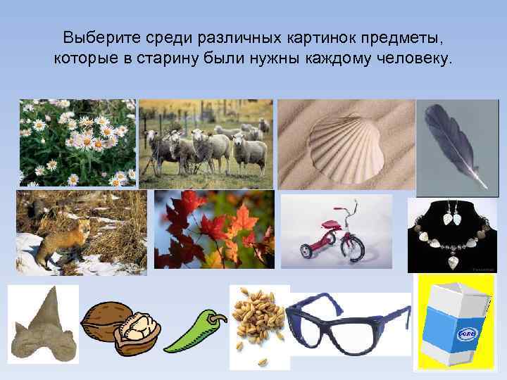 Выберите среди различных картинок предметы, которые в старину были нужны каждому человеку. 