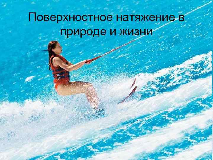 Поверхностное натяжение в природе и жизни 