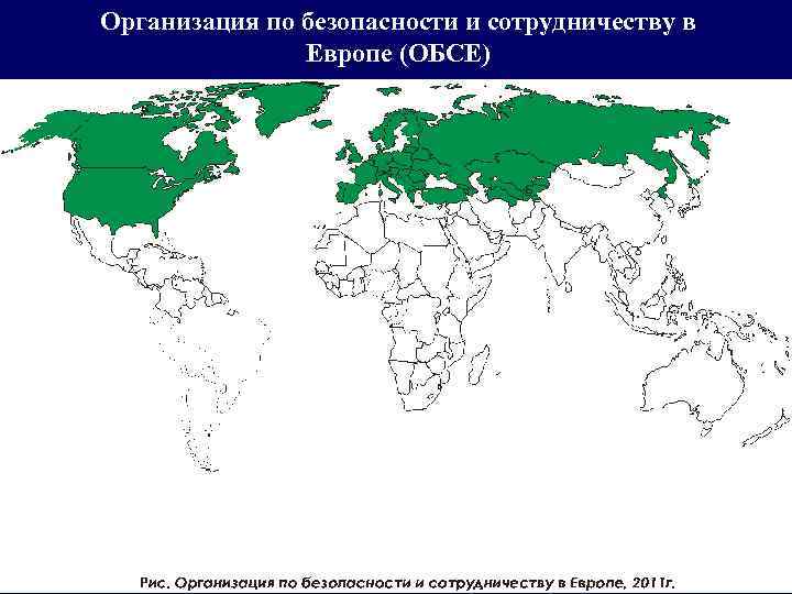 Организация по безопасности и сотрудничеству в Европе (ОБСЕ) 