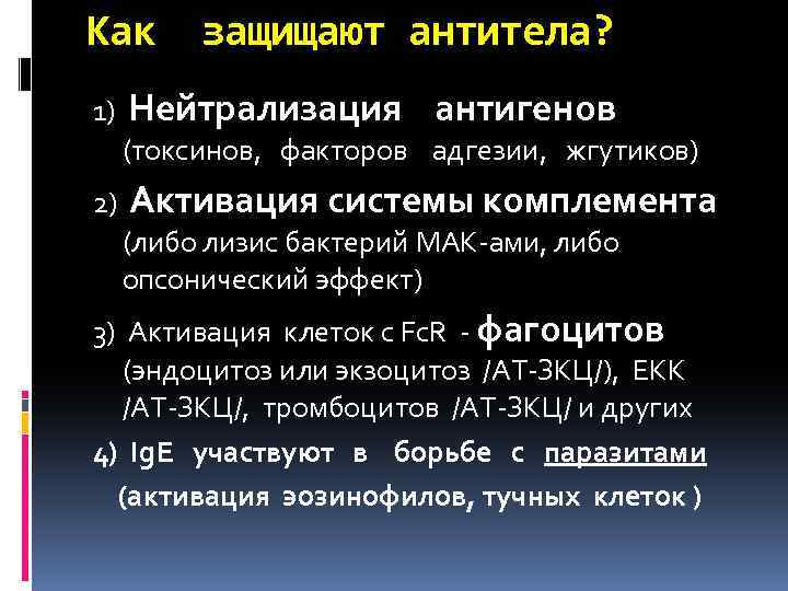 Как защищают антитела? 1) Нейтрализация антигенов (токсинов, факторов адгезии, жгутиков) 2) Активация системы комплемента