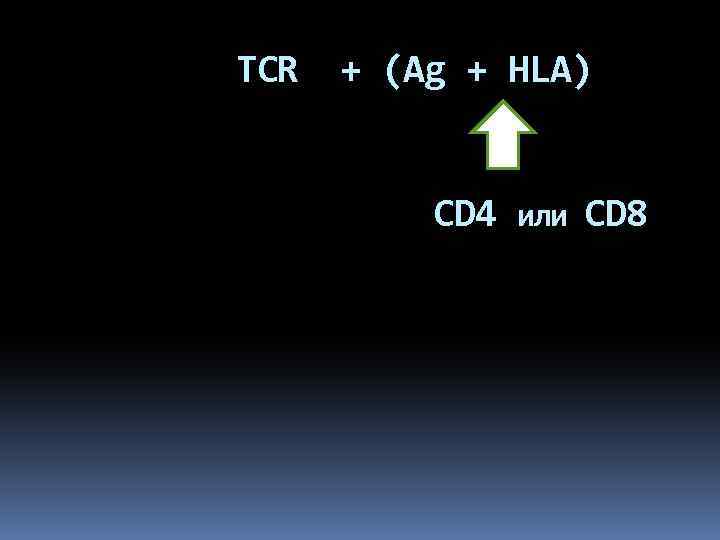 TCR + (Ag + HLA) CD 4 или CD 8 