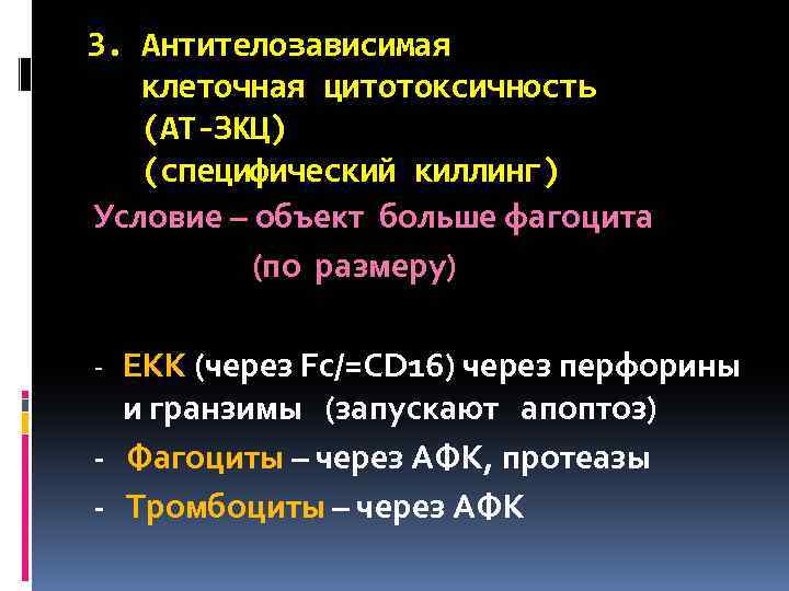 3. Антителозависимая клеточная цитотоксичность (АТ-ЗКЦ) (специфический киллинг) Условие – объект больше фагоцита (по размеру)