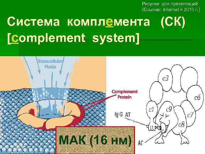 Рисунки для презентаций (Ссылка: Internet < 2010 г. ) Система комплемента (СК) [complement system]