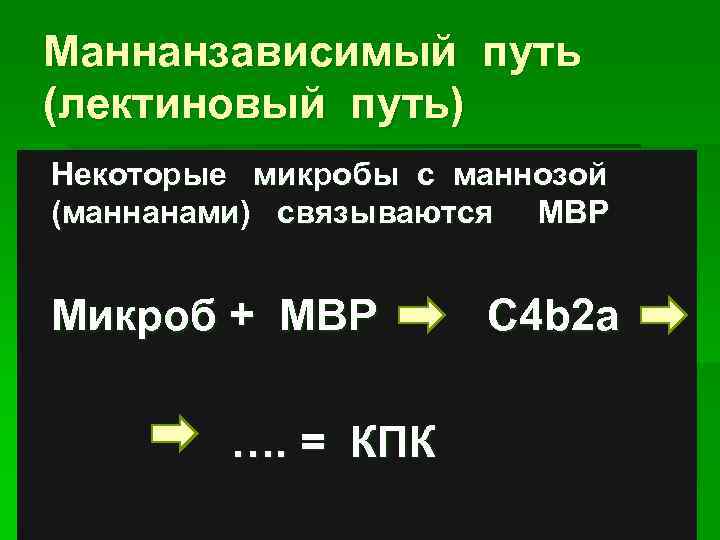 Маннанзависимый путь (лектиновый путь) Некоторые микробы с маннозой (маннанами) связываются МВР Микроб + МВР