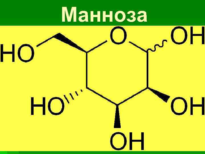 Манноза 
