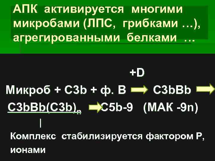 АПК активируется многими микробами (ЛПС, грибками …), агрегированными белками … +D Микроб + C
