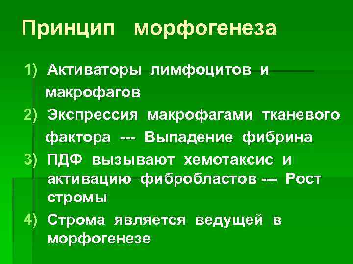 Принцип морфогенеза 1) Активаторы лимфоцитов и макрофагов 2) Экспрессия макрофагами тканевого фактора --- Выпадение