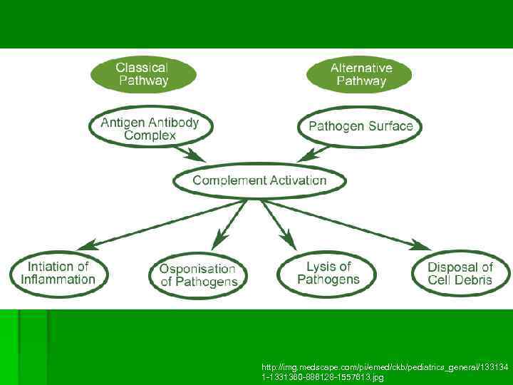 http: //img. medscape. com/pi/emed/ckb/pediatrics_general/133134 1 -1331360 -886128 -1557613. jpg 