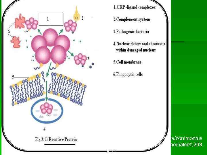 http: //learn. tutorvista. com/files/common/us ers/5680_17_1283326867_mediator%203. JPG 