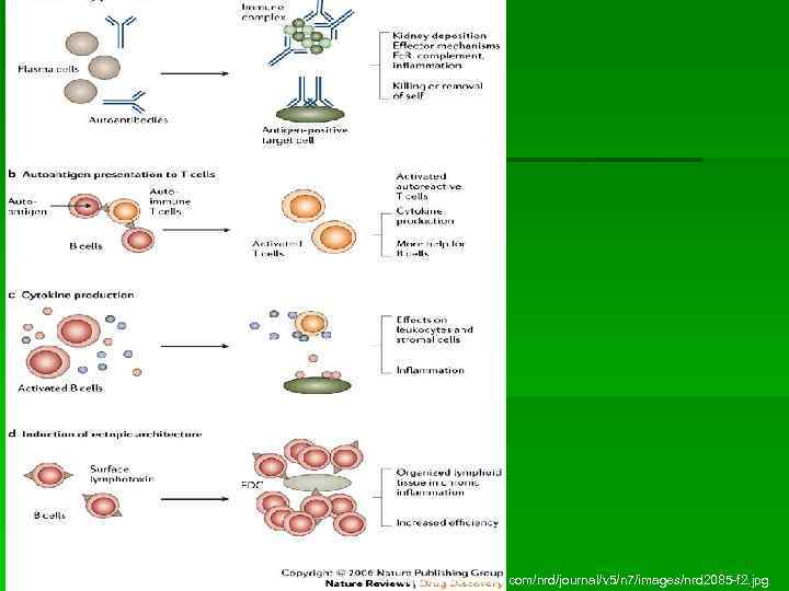 http: //www. nature. com/nrd/journal/v 5/n 7/images/nrd 2085 -f 2. jpg 