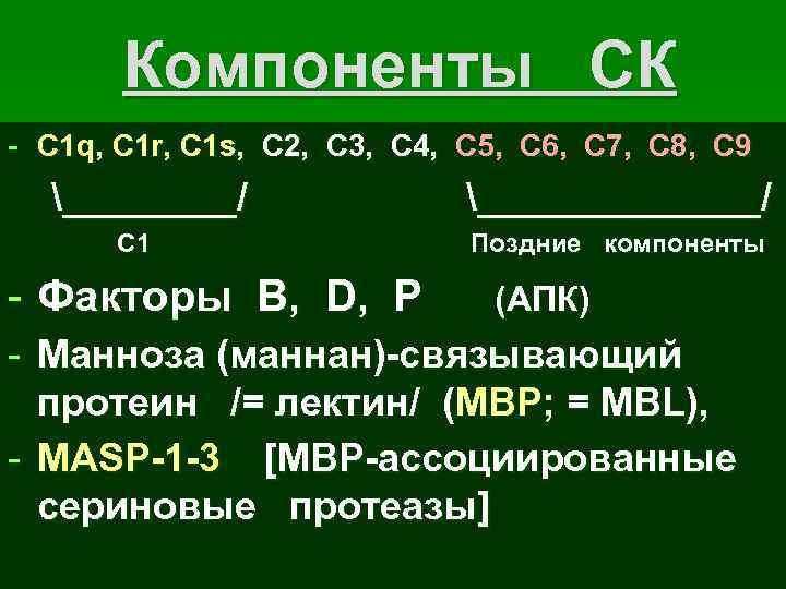 Компоненты СК - С 1 q, C 1 r, C 1 s, С 2,