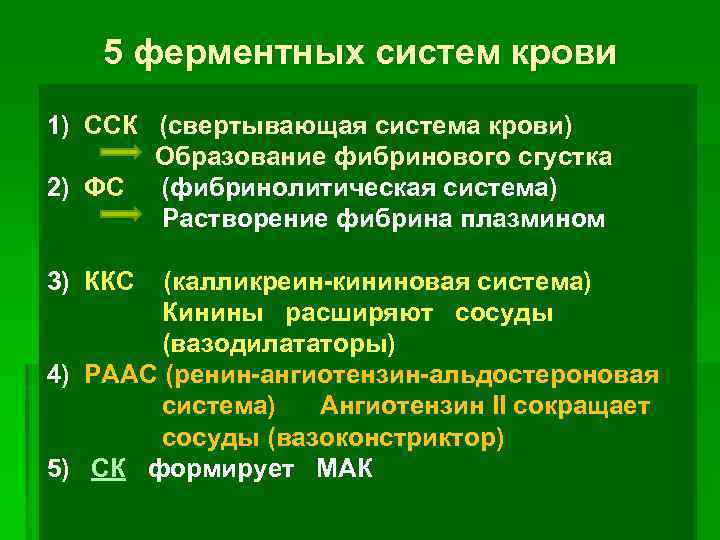 5 ферментных систем крови 1) ССК (свертывающая система крови) Образование фибринового сгустка 2) ФС