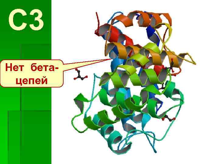 C 3 Нет бетацепей 
