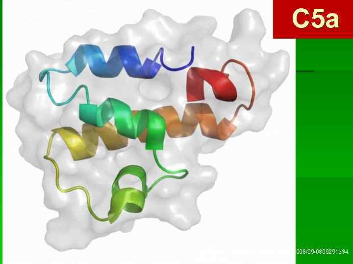 С 5 а http: //www. sciencedaily. com/images/2008/09/0809291534 58 -large. jpg 