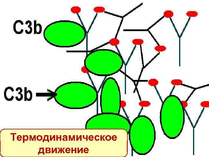 Термодинамическое движение 
