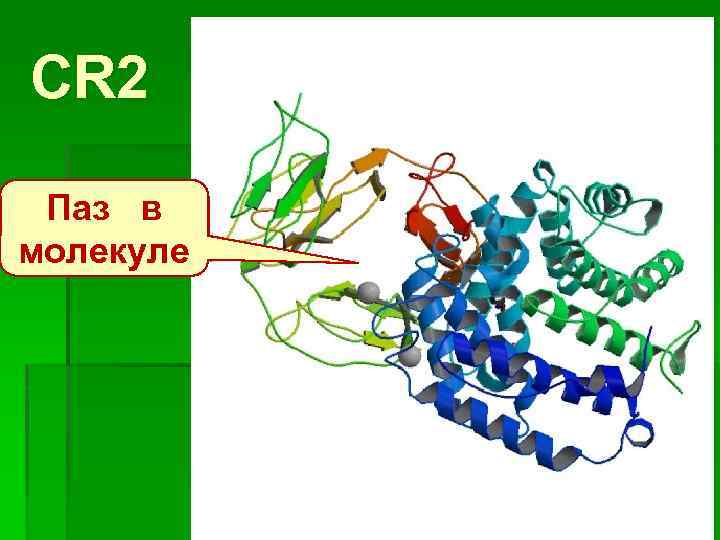 CR 2 Паз в молекуле 