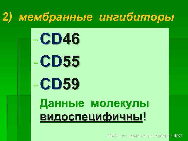 2) мембранные ингибиторы - CD 46 - CD 55 - CD 59 Данные молекулы