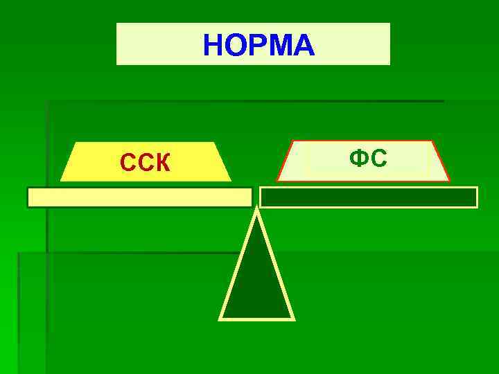  НОРМА ССК ФС 