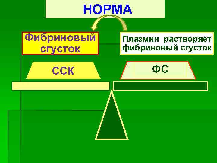 НОРМА Фибриновый сгусток ССК Плазмин растворяет фибриновый сгусток ФС 