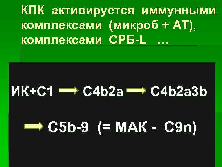 КПК активируется иммунными комплексами (микроб + АТ), комплексами СРБ-L … ИК+С 1 С 4