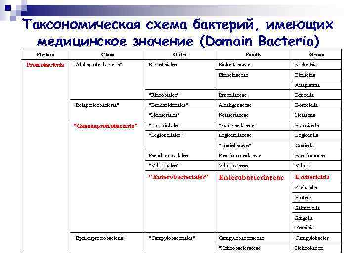 Таксономическая схема бактерий, имеющих медицинское значение (Domain Bacteria) Phylum Proteobacteria Class 