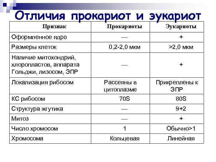 Отличия прокариот и эукариот Признак Оформленное ядро Размеры клеток Наличие митохондрий, хлоропластов, аппарата Гольджи,