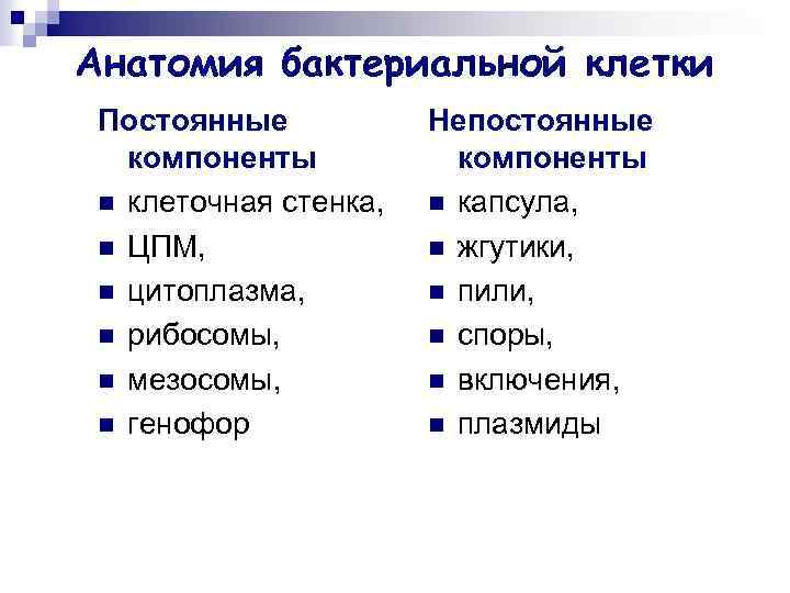 Анатомия бактериальной клетки Постоянные компоненты n клеточная стенка, n ЦПМ, n цитоплазма, n рибосомы,