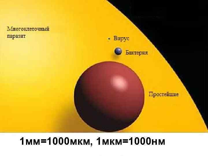 1 мм=1000 мкм, 1 мкм=1000 нм 
