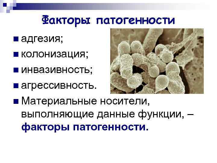 Вирус ковид отнесен к группе патогенности. Факторы агрессии микроорганизмов. Факторы адгезии и колонизации бактерий. Факторы патогенности факторы инвазии. Адгезия колонизация инвазия.