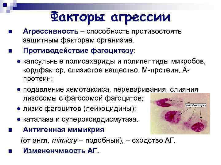 Факторы агрессии n n Агрессивность – способность противостоять защитным факторам организма. Противодействие фагоцитозу: ●