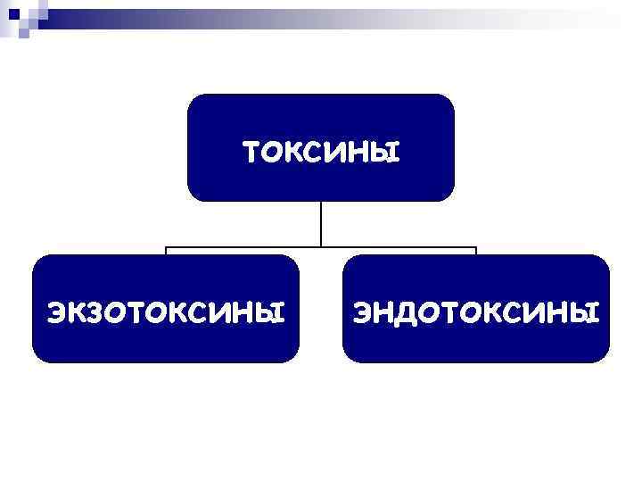 токсины экзотоксины эндотоксины 