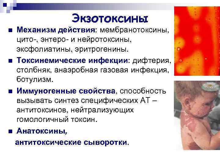 Экзотоксины Механизм действия: мембранотоксины, цито-, энтеро- и нейротоксины, эксфолиатины, эритрогенины. n Токсинемические инфекции: дифтерия,