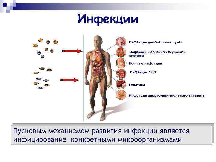 Инфекции дыхательных путей Инфекции сердечно-сосудистой системы Кожные инфекции Инфекции ЖКТ Гепатиты Инфекции опорно-двигательного аппарата
