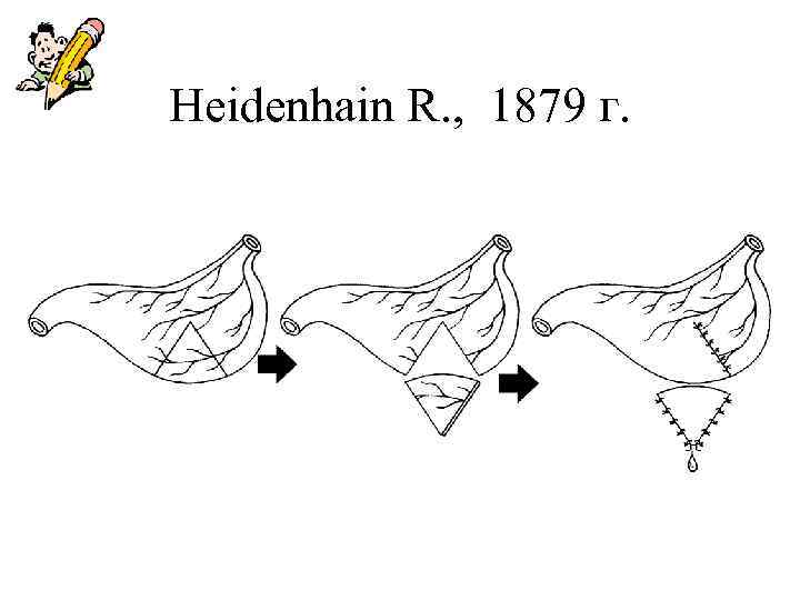 Heidenhain R. , 1879 г. 