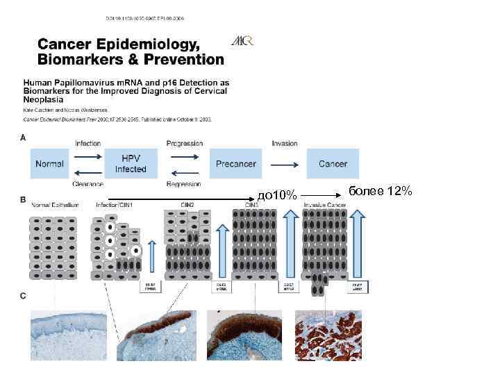 до 10% более 12% 