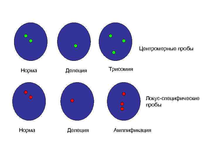 Центромерные пробы Норма Делеция Трисомия Локус-специфические пробы Норма Делеция Амплификация 
