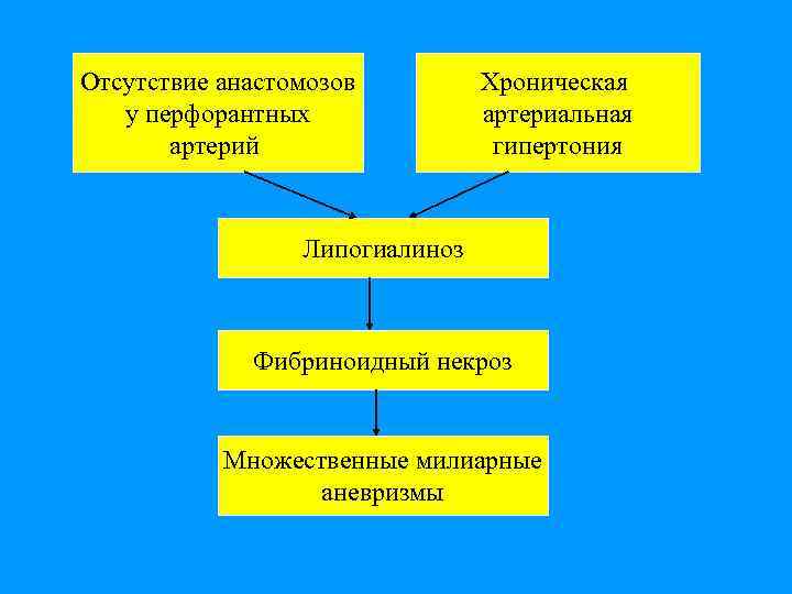 Отсутствие анастомозов у перфорантных артерий Хроническая артериальная гипертония Липогиалиноз Фибриноидный некроз Множественные милиарные аневризмы