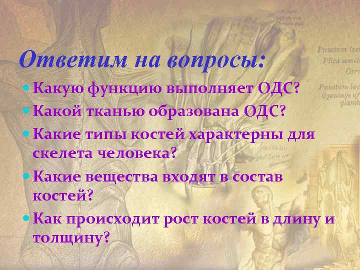 Ответим на вопросы: Какую функцию выполняет ОДС? Какой тканью образована ОДС? Какие типы костей