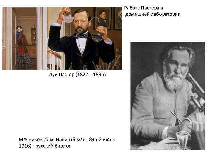 Работа Пастера в домашней лаборатории Луи Пастер (1822 – 1895) Мечников Илья Ильич (3