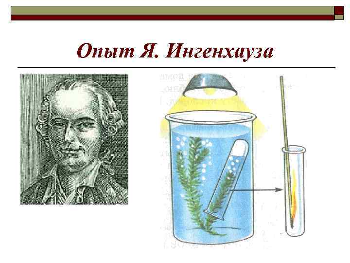 Опыт Я. Ингенхауза 