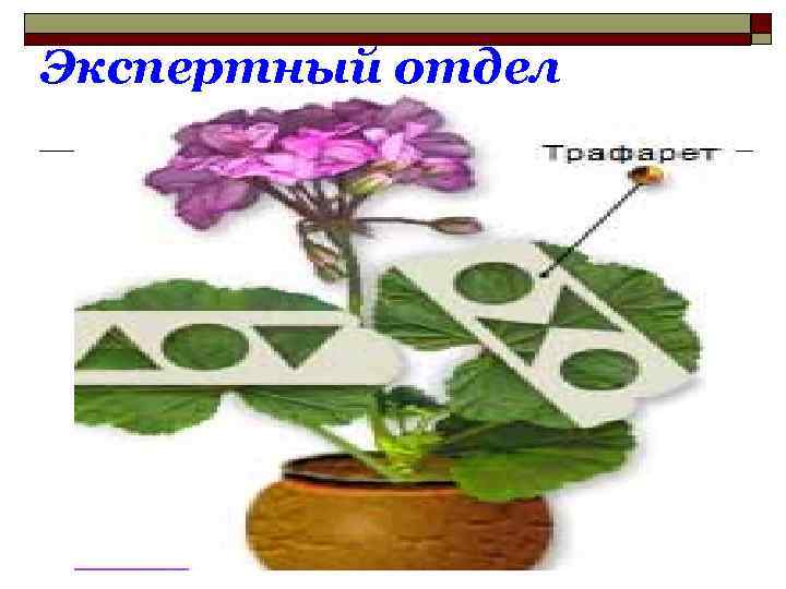 Экспертный отдел 