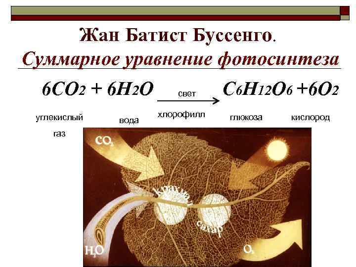 Жан Батист Буссенго. Суммарное уравнение фотосинтеза 6 СО 2 + 6 Н 2 О
