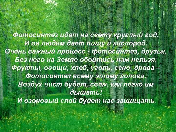Фотосинтез идет на свету круглый год. И он людям дает пищу и кислород. Очень